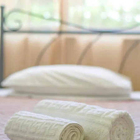 Palm L - Islander's Collection