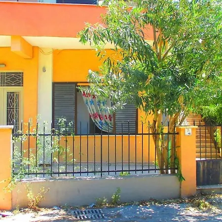 Palm L - Islander's Collection