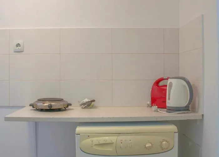 Daire Palm L - Islander's Collection